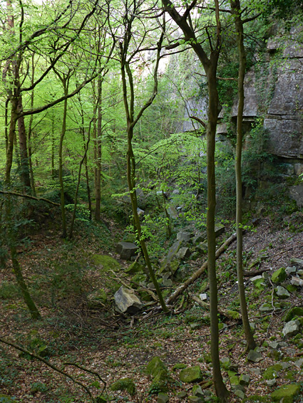 Lancaut Quarry