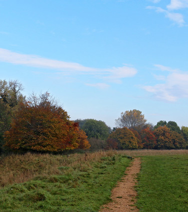 Grassland path