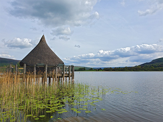 Bird hide with conical roof