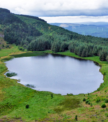 Llyn Fach