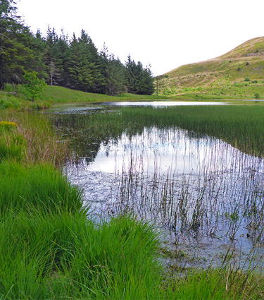 Llyn Fach