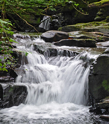 Cascade and pool