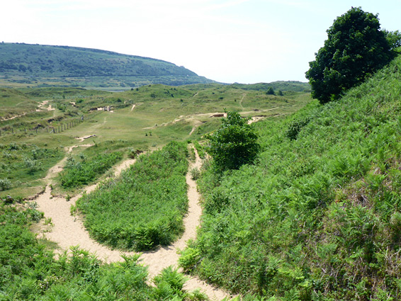 Paths near the river