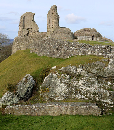 Montgomery Castle