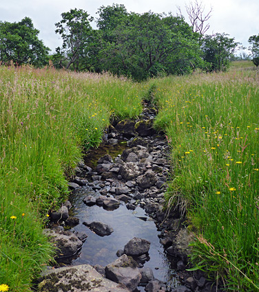 Nant Cadlan