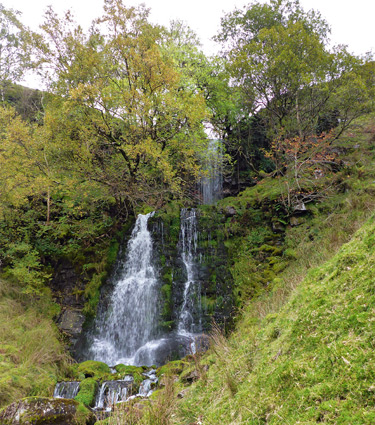 Trees and waterfalls