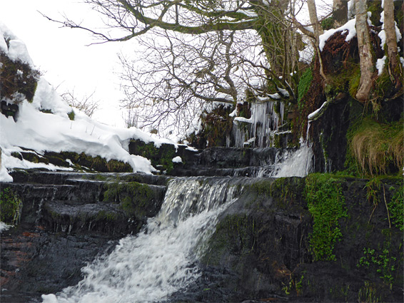 Icicles above a cascade