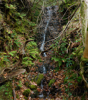 Narrow cascade