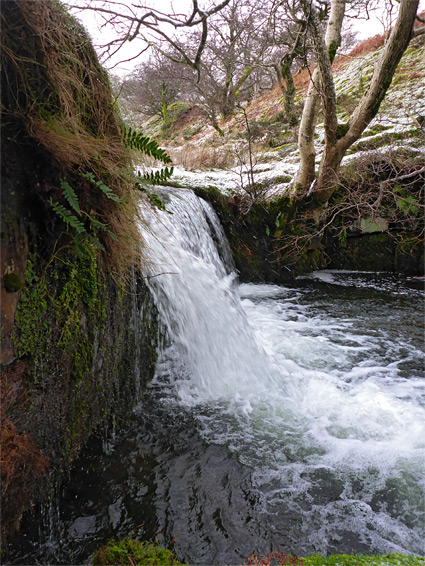 Four foot waterfall, Nant Serre