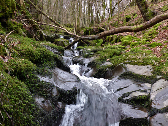 Narrow channel along the stream