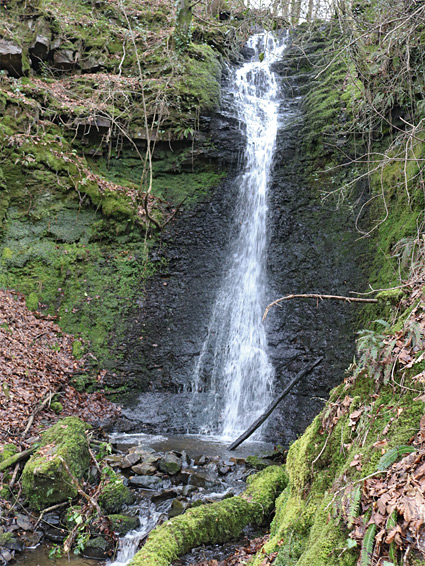 Nedd Fechan tributary