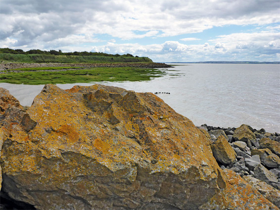 newport wetlands reserve