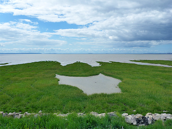 Saltmarsh