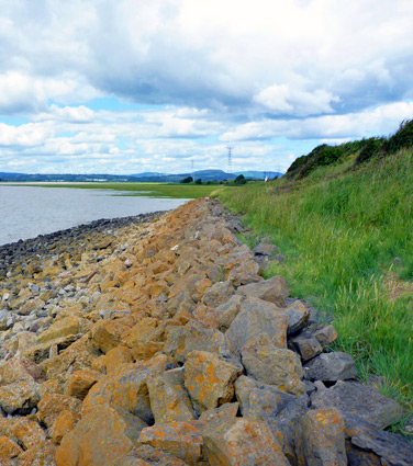 Newport Wetlands