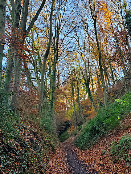 Path to Nibley Knoll