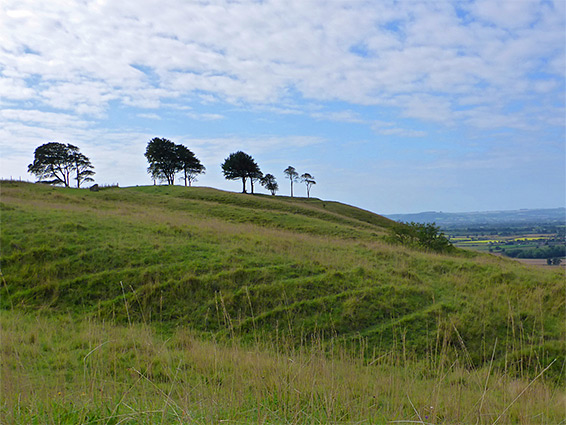 Alton Barnes White Horse