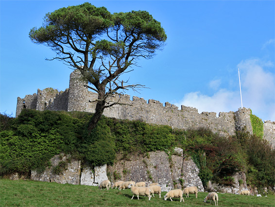 Cliff below the castle