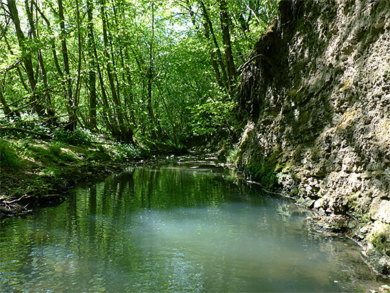 Pentaloe Brook