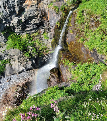 Flower-covered slopes