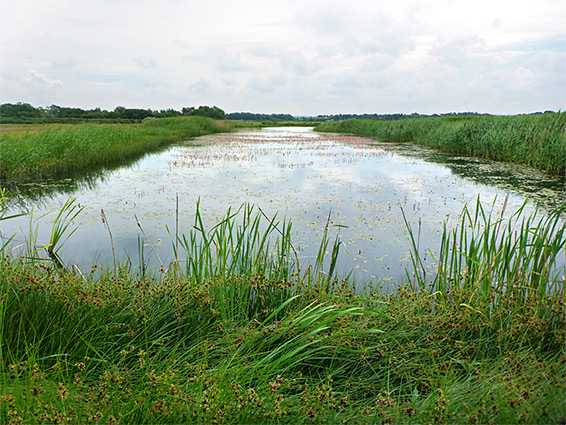 Pilning Wetlands