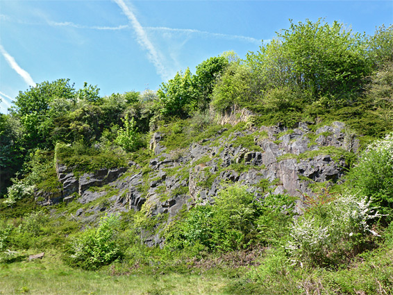 North cliff of the quarry