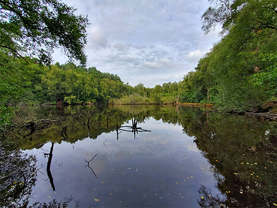 The Tarn