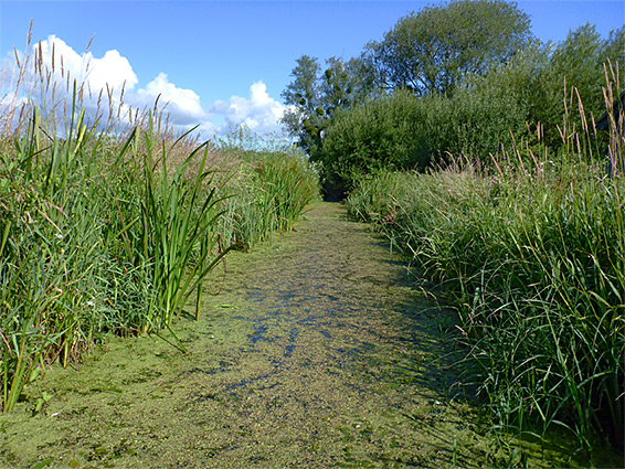 Pwll-Uffern Reen