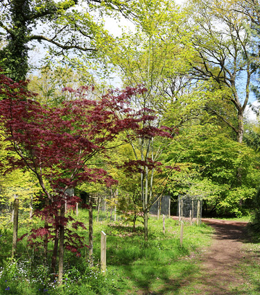 Queenswood Country Park