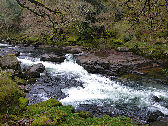 Dart Gorge, Devon