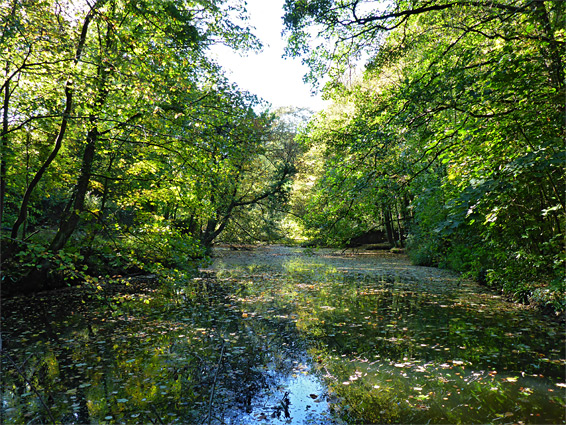 River Frome