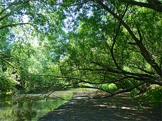 River Lugg