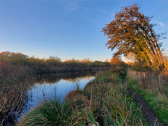 Path by the River Whitewater