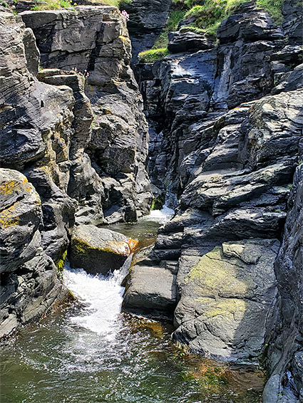 Greenish pool