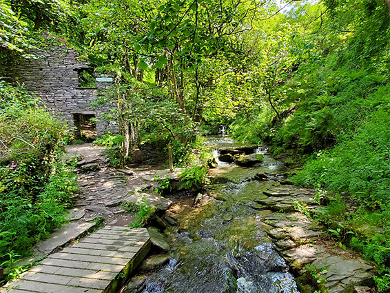 Ruins of Trethevy Mill, beside the stream