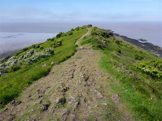 Path along the ridgeline