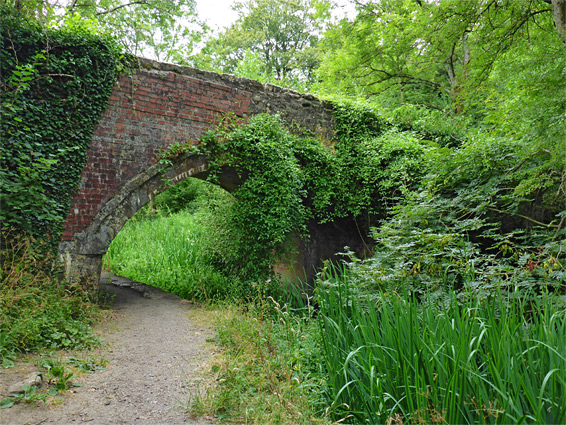 Path under Whitehall Bridge