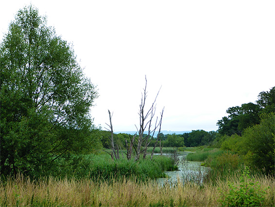 Winding path