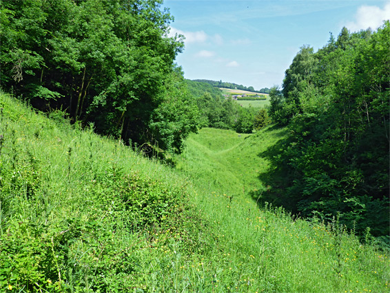 West bank of the quarry