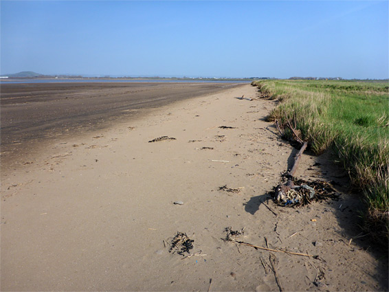 Grass and sand