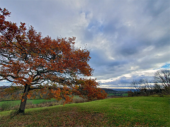 Drakestone Point