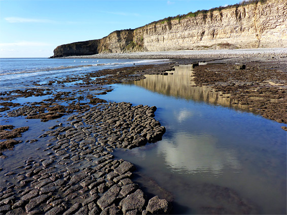 Stout Bay