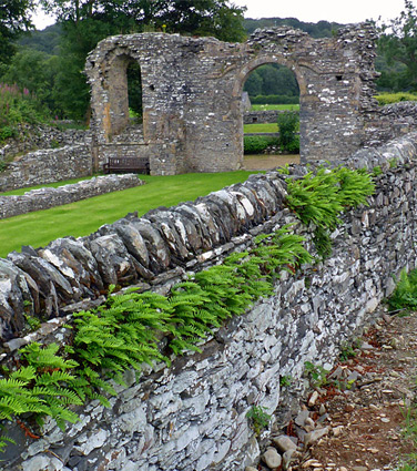 Strata Florida Abbey