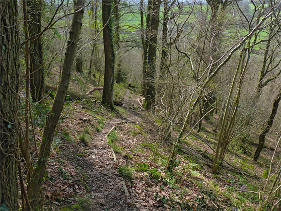 Steps on the path