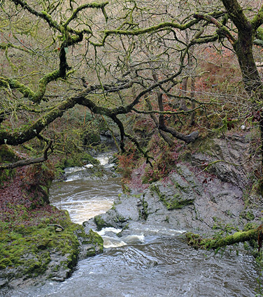 Sychryd Gorge