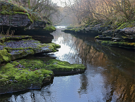 Calm section of the river