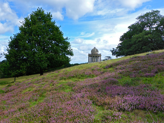 Heather near the Temple