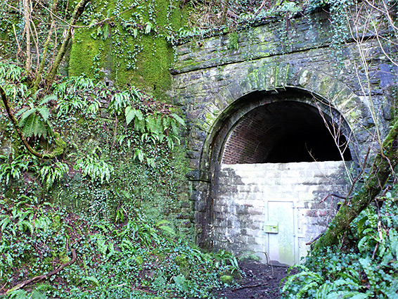 Tintern tunnel