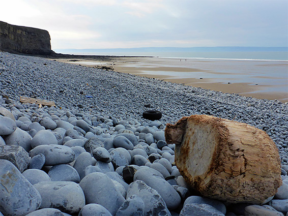 Driftwood