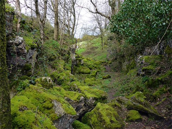 Mossy rocks