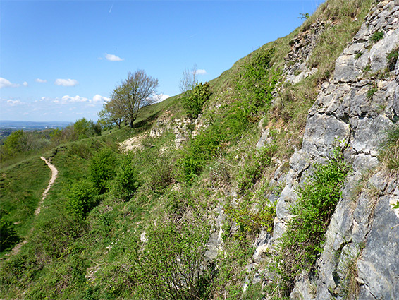 Limestone outcrop